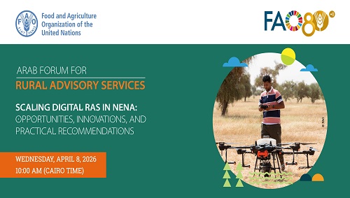 منظمة المرأة العربية تشارك في ويبينار حول الإرشاد الريفي الرقمي